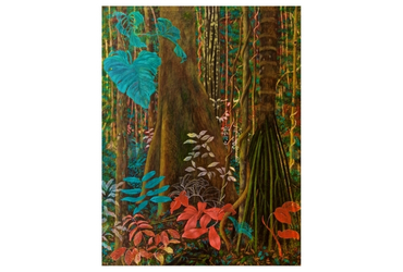 Mawawa