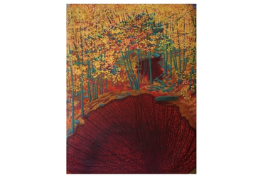 Cranberry Bog