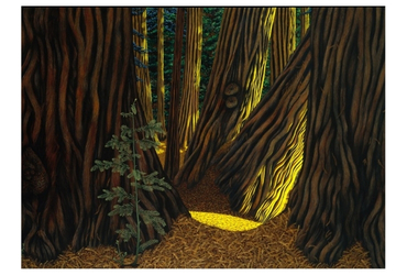 Muir Woods