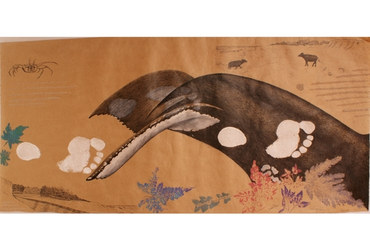 Whale