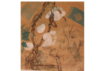 Lianas I