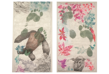 Turtle; Wild Boar
