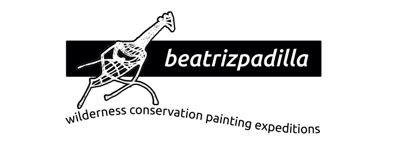 Beatriz Padilla — Artista Plástica