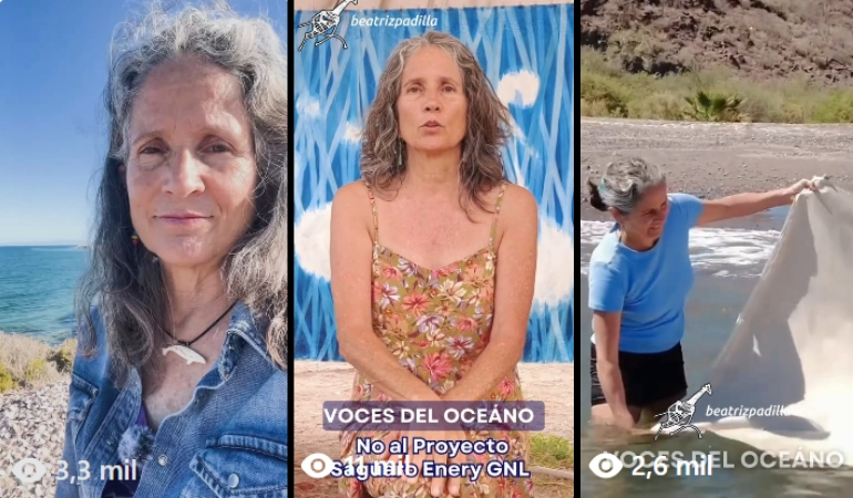 Beatriz Padilla - Whale Conservation Expedition in Loreto